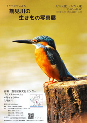 2024年7月19日（金）～22日（月）子どもたちによる「鶴見川の生きもの写真展」　開催！！主催：OE! yokohama