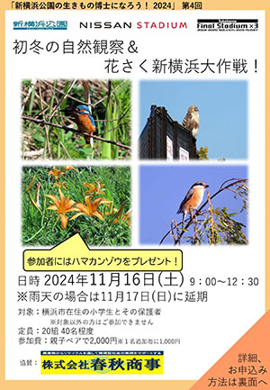 2024年11月16日（土）新横浜公園「初冬の自然観察 & 花さく新横浜大作戦！」開催